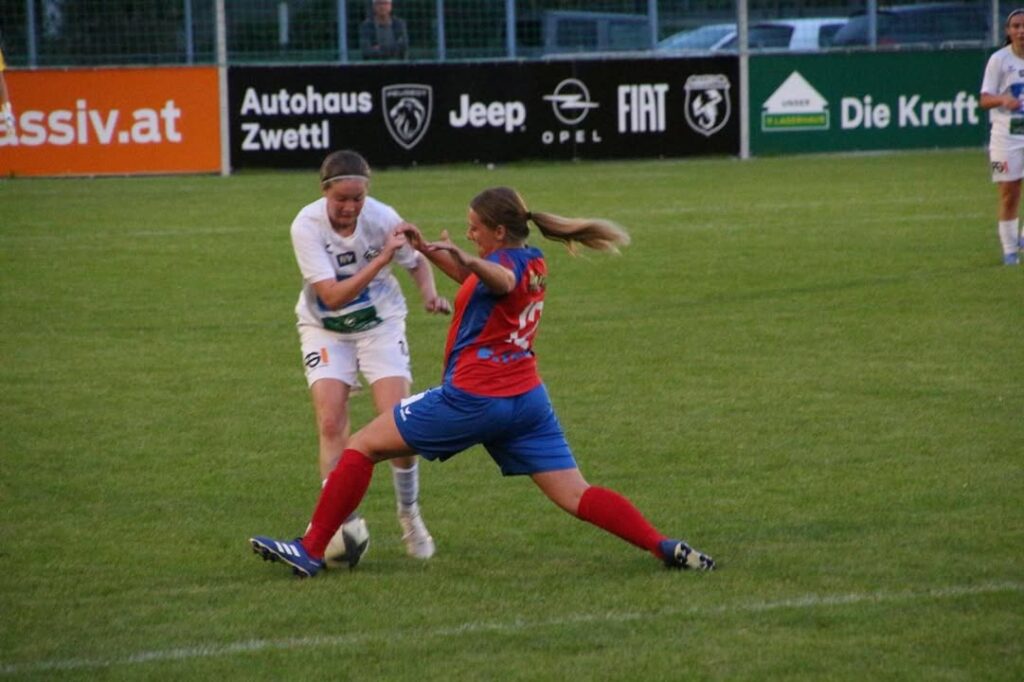 Ein paar Impressionen vom letzten Match in Zwettl 😊
